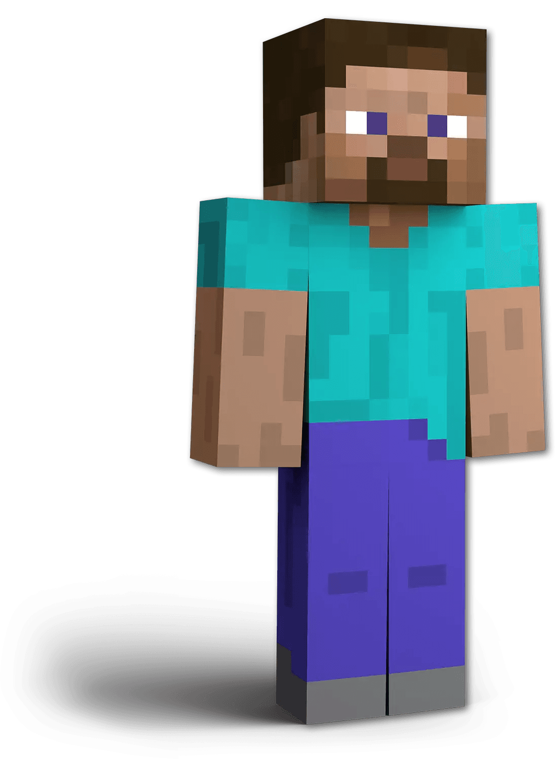 Steve full render